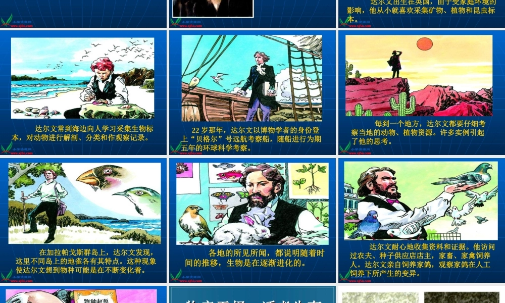 鄂教版小学科学六下《3.谁能生存下来》PPT课件[加微信jiaoxue5you九折优惠].ppt