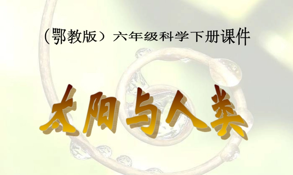 鄂教版小学科学六下《11.太阳与人类》PPT课件(2).ppt