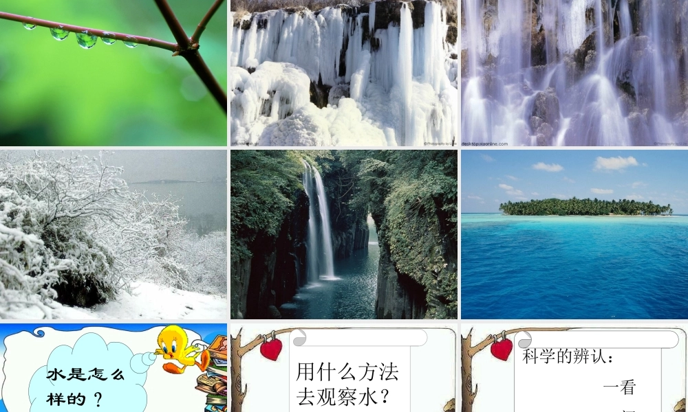 鄂教版小学科学三上《8水是什么样的》PPT课件.ppt
