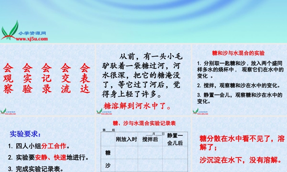 鄂教版小学科学三上《13糖到哪里去了》PPT课件.ppt