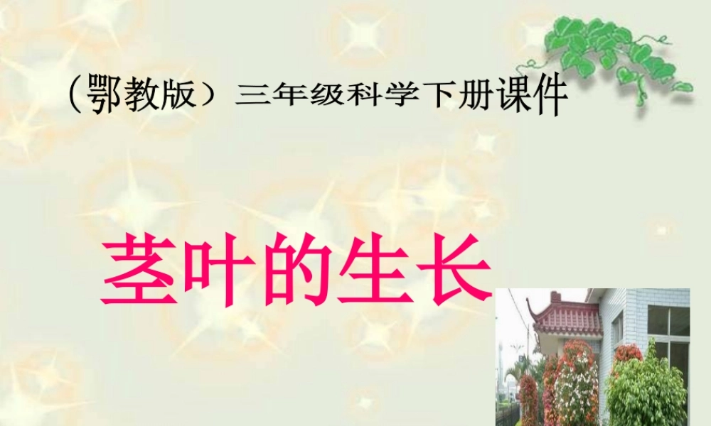 鄂教版小学科学三下《2.茎叶的生长》PPT课件(2).ppt