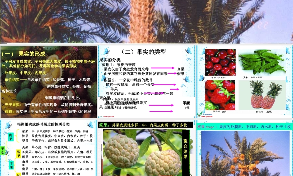 鄂教版小学科学三下《4.结果了》PPT课件[加微信jiaoxue5you九折优惠].ppt