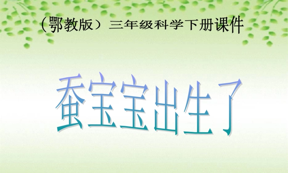 鄂教版小学科学三下《6.蚕宝宝出生了》PPT课件(1).ppt