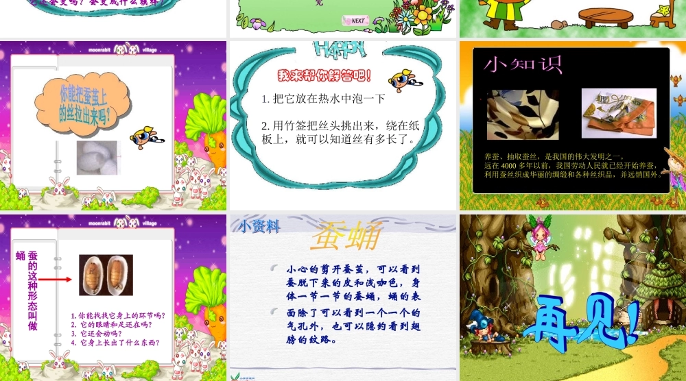 鄂教版小学科学三下《8.蚕宝宝建新房》PPT课件(2).ppt