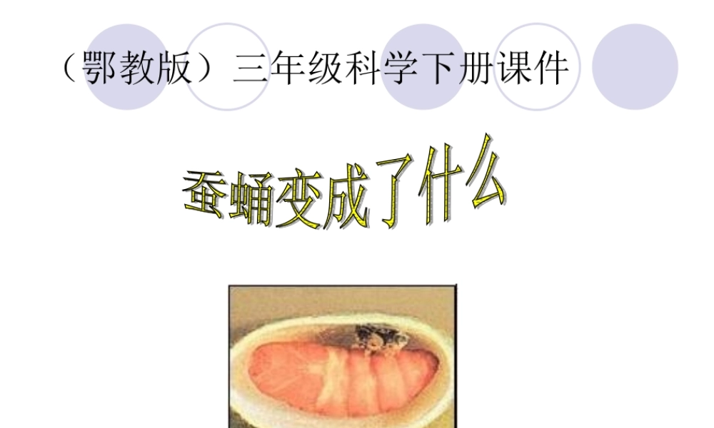 鄂教版小学科学三下《9.蚕蛹变成了什么》PPT课件(1).ppt