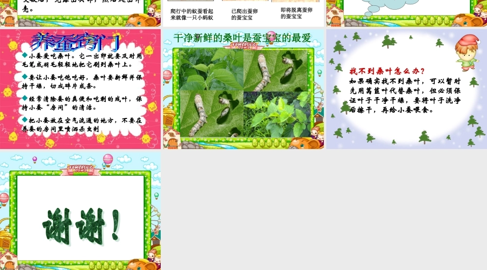 鄂教版小学科学三下《6.蚕宝宝出生了》PPT课件(2).ppt