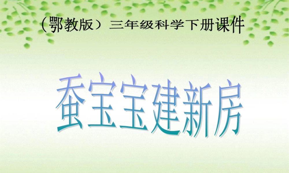 鄂教版小学科学三下《8.蚕宝宝建新房》PPT课件(4).ppt