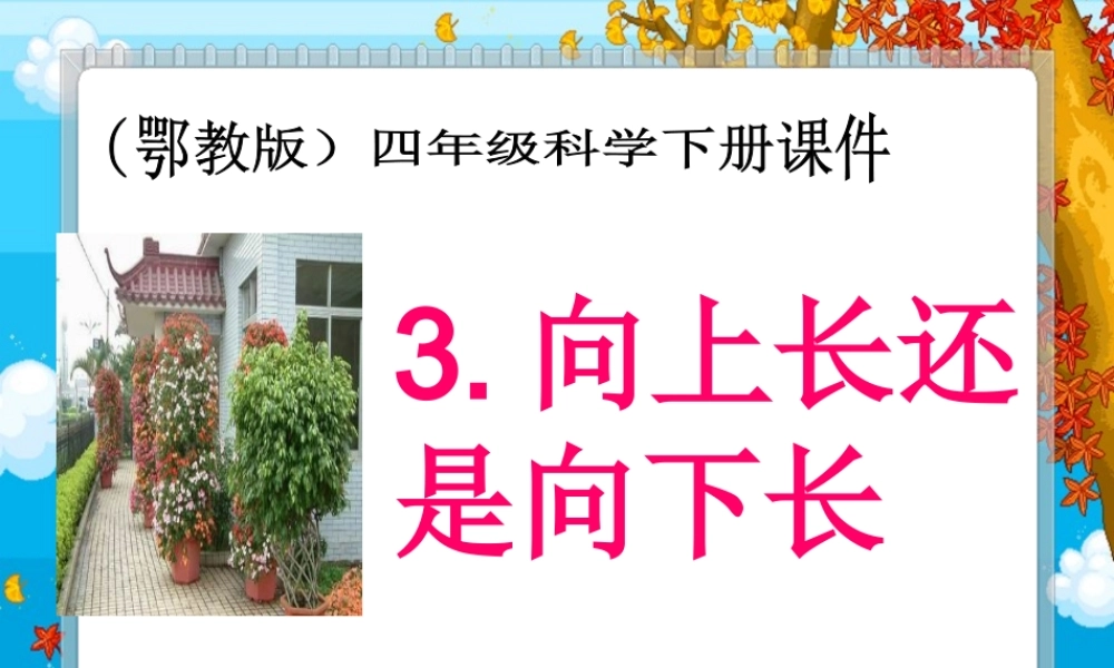 鄂教版小学科学四下优质公开课《3.向上长还是向下长》PPT课件[加微信jiaoxue5you九折优惠].ppt