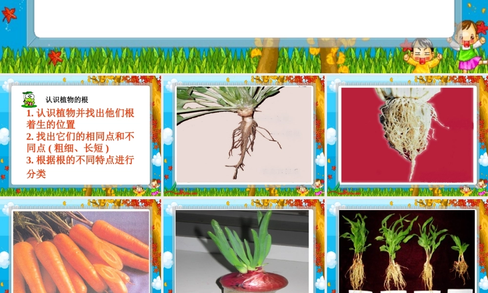 鄂教版小学科学四下优质公开课《3.向上长还是向下长》PPT课件[加微信jiaoxue5you九折优惠].ppt