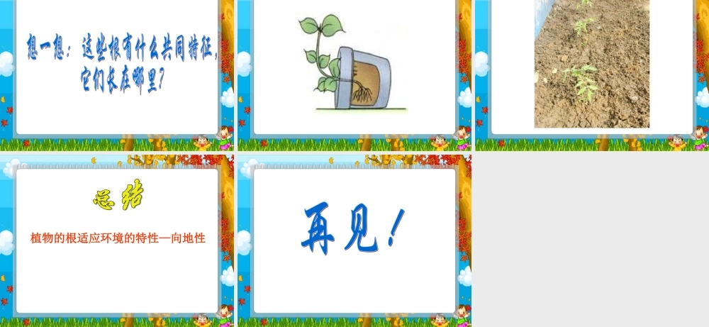 鄂教版小学科学四下优质公开课《3.向上长还是向下长》PPT课件[加微信jiaoxue5you九折优惠].ppt