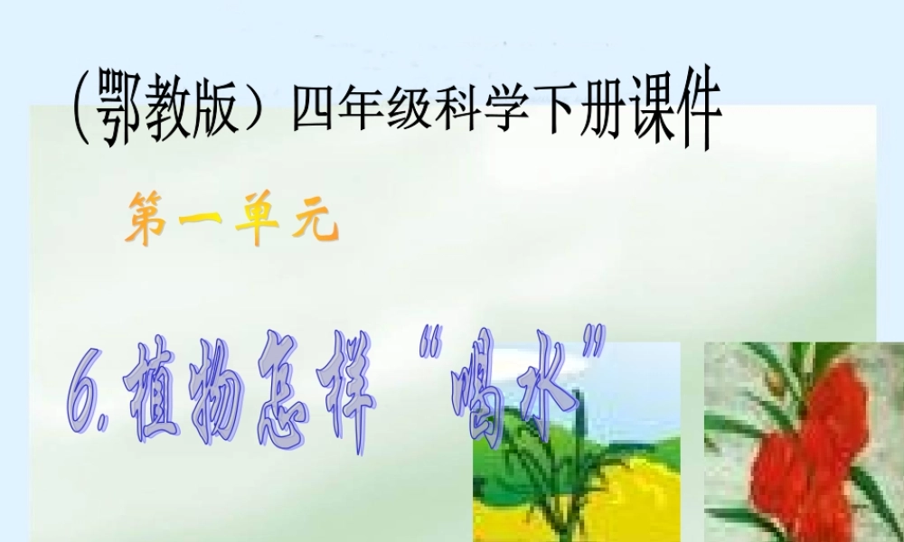 鄂教版小学科学四下优质公开课《6.植物怎样“喝水”》PPT课件[加微信jiaoxue5you九折优惠].ppt