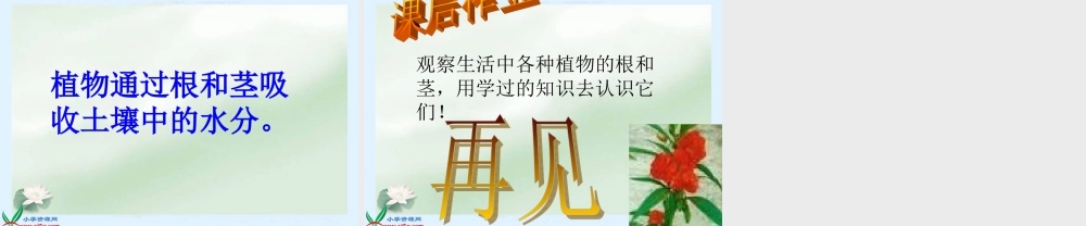 鄂教版小学科学四下优质公开课《6.植物怎样“喝水”》PPT课件[加微信jiaoxue5you九折优惠].ppt