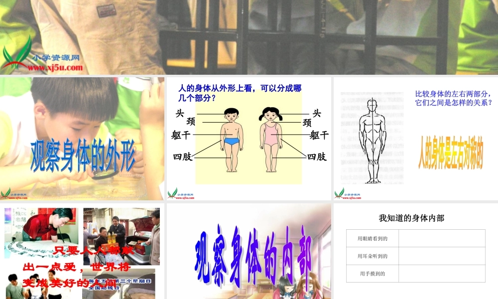鄂教版小学科学五上《1我们身体的变化》PPT课件.ppt