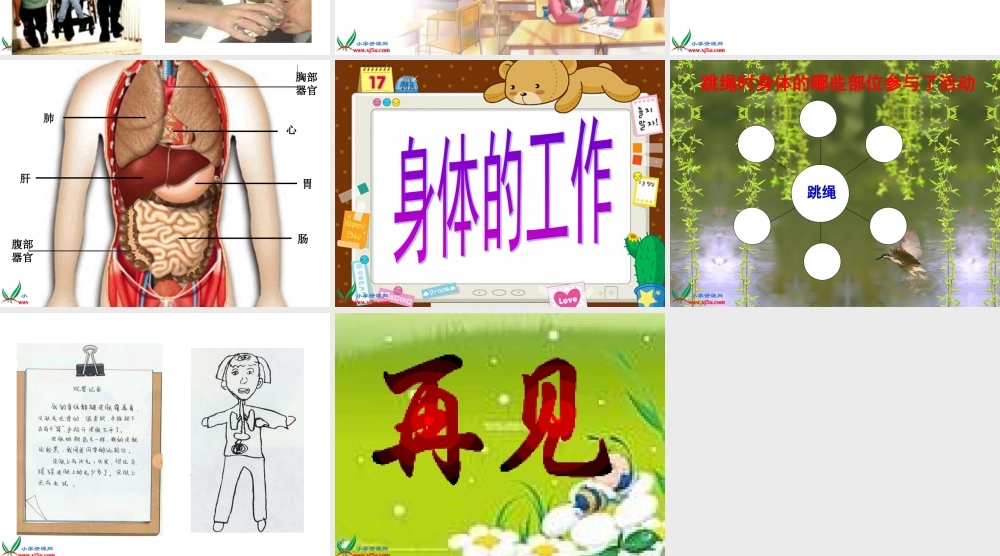 鄂教版小学科学五上《1我们身体的变化》PPT课件.ppt