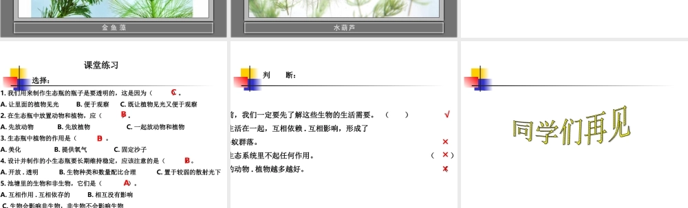 鄂教版小学科学五上《13做个小生态瓶》PPT课件 (2).ppt