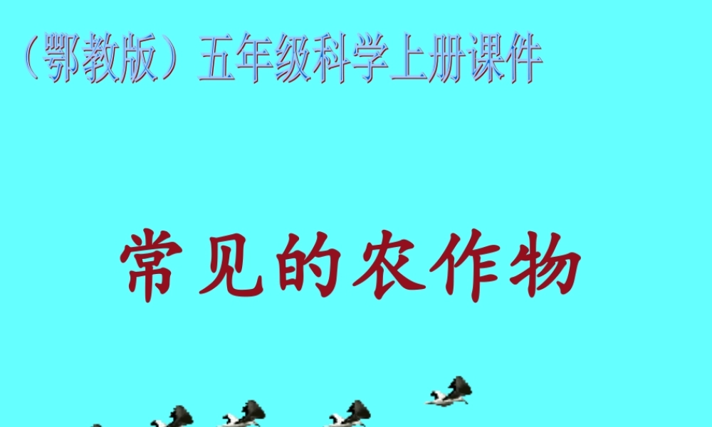 鄂教版小学科学五上《19常见的农作物》PPT课件.ppt