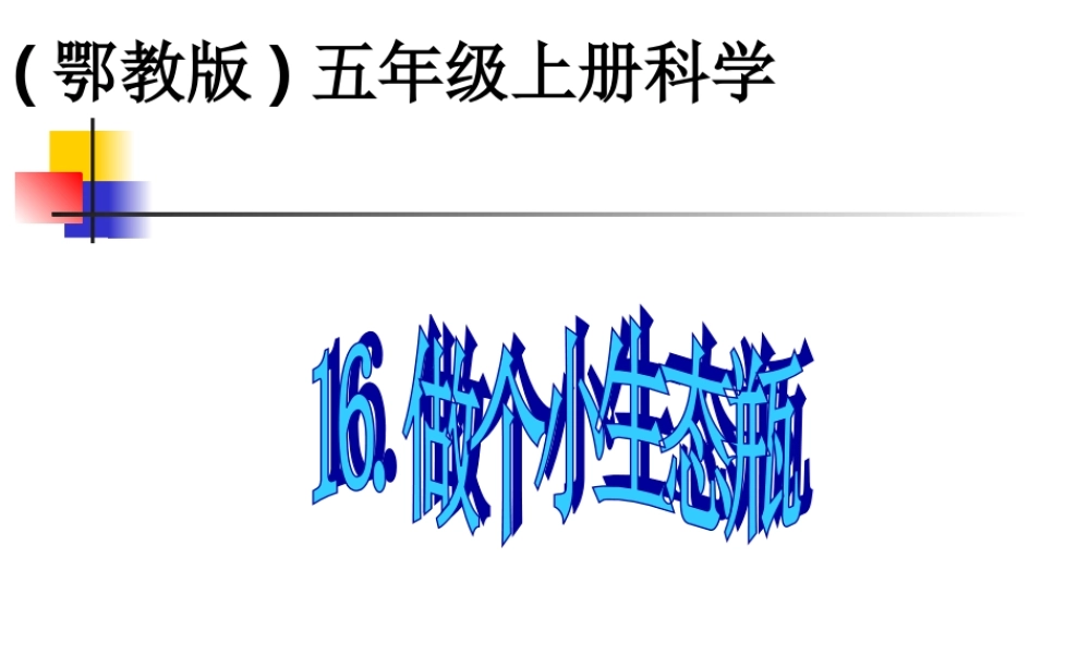 鄂教版小学科学五上《13做个小生态瓶》PPT课件 (1).ppt
