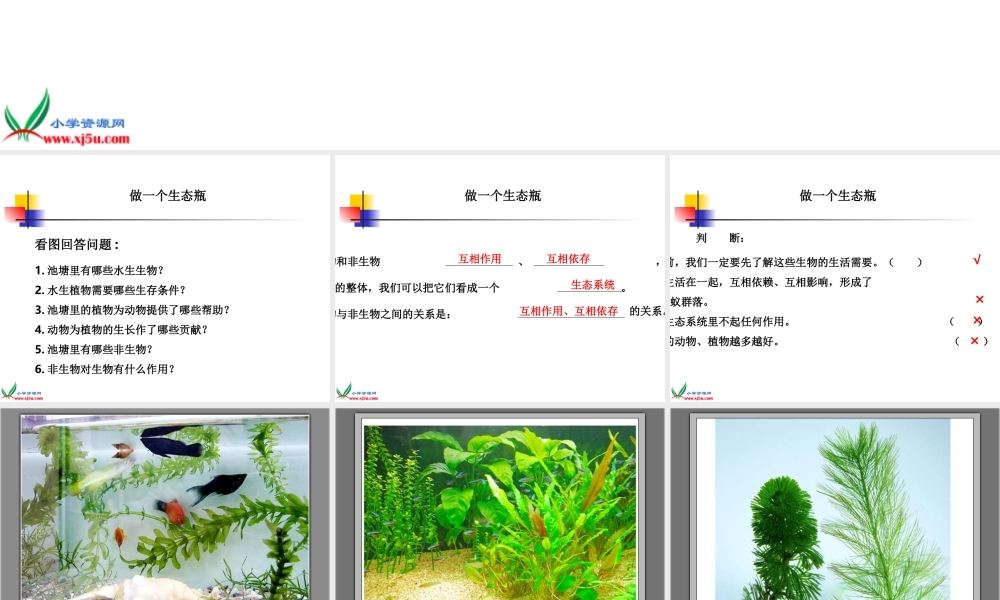鄂教版小学科学五上《13做个小生态瓶》PPT课件 (1).ppt