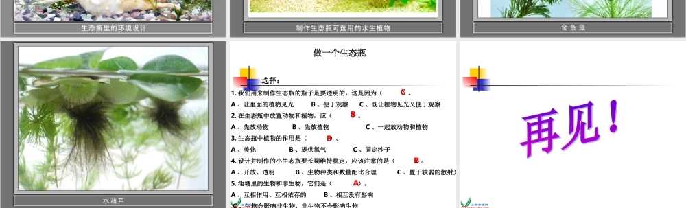 鄂教版小学科学五上《13做个小生态瓶》PPT课件 (1).ppt
