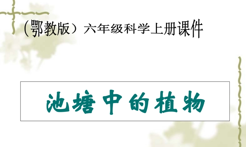 鄂教版小学科学五上《11池塘中的植物》PPT课件.ppt