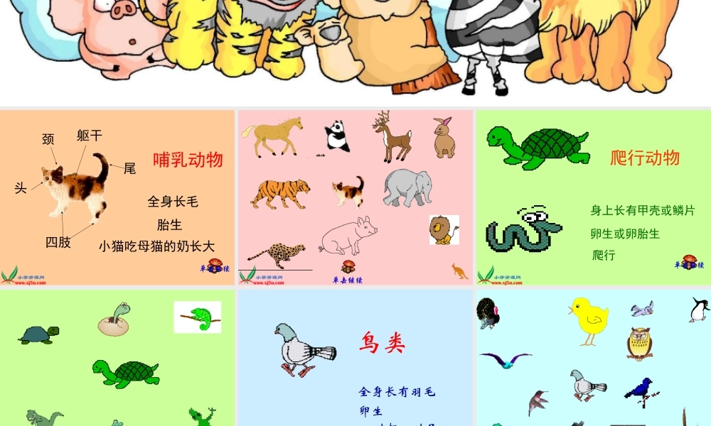 鄂教版小学科学五下《1.形形色色的动物》PPT课件(1).ppt