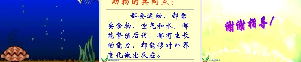 鄂教版小学科学五下《1.形形色色的动物》PPT课件(1).ppt