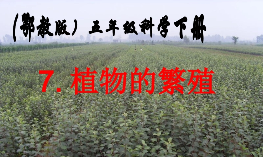 鄂教版小学科学五下《7.植物的繁殖》PPT课件[加微信jiaoxue5you九折优惠].ppt