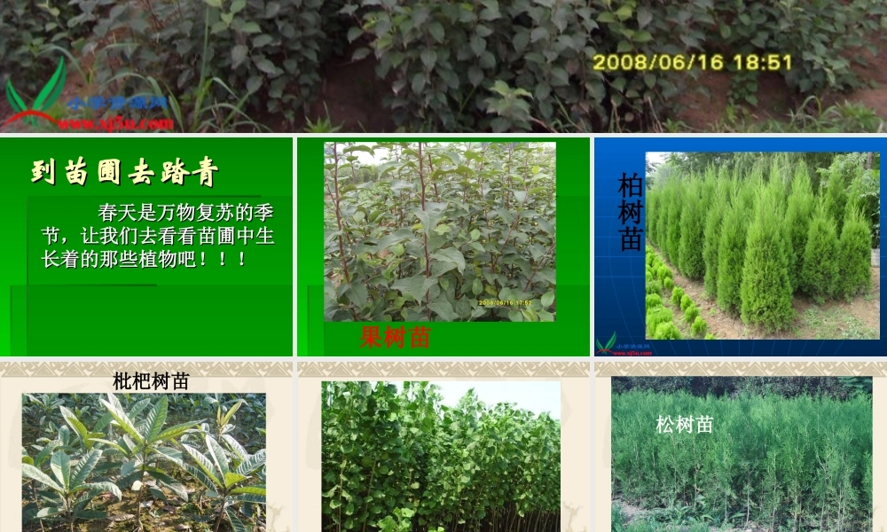 鄂教版小学科学五下《7.植物的繁殖》PPT课件[加微信jiaoxue5you九折优惠].ppt