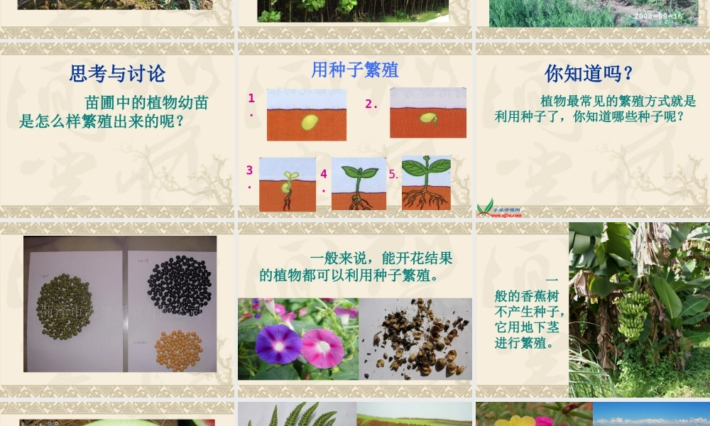 鄂教版小学科学五下《7.植物的繁殖》PPT课件[加微信jiaoxue5you九折优惠].ppt