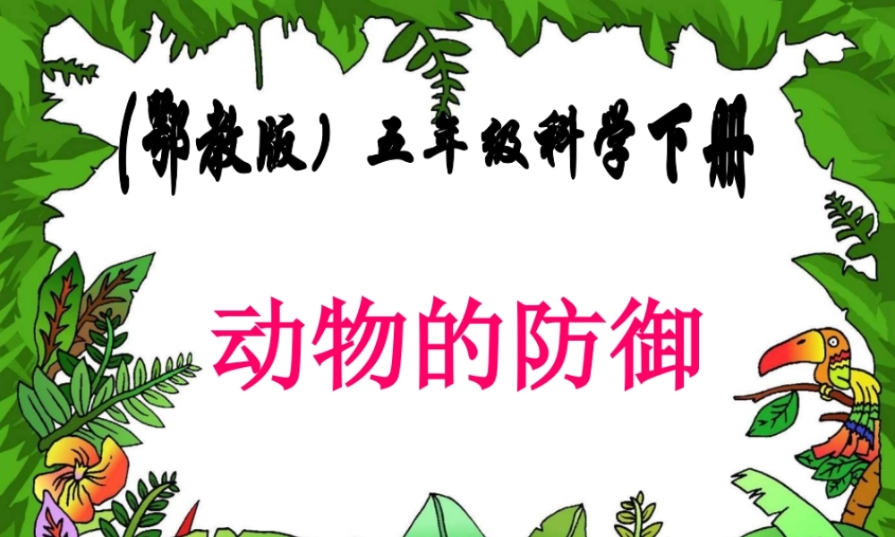 鄂教版小学科学五下《4.动物的防御》PPT课件[加微信jiaoxue5you九折优惠].ppt