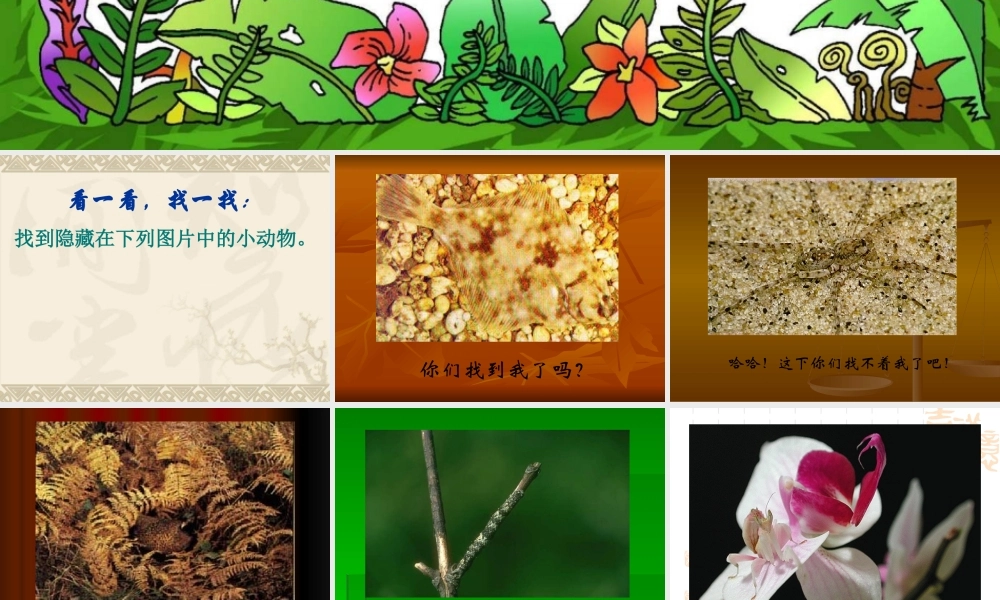 鄂教版小学科学五下《4.动物的防御》PPT课件[加微信jiaoxue5you九折优惠].ppt