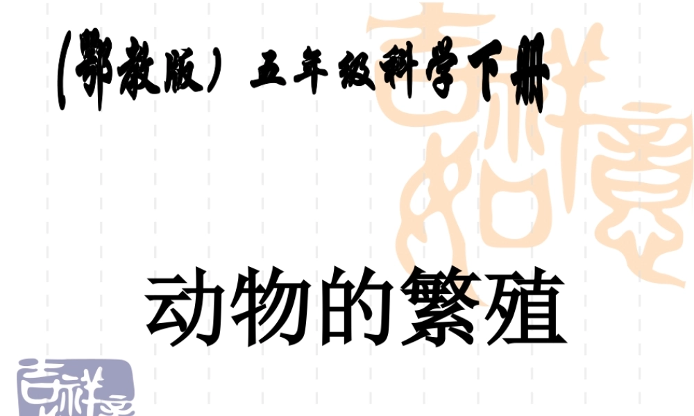 鄂教版小学科学五下《5.动物的繁殖》PPT课件(2).ppt