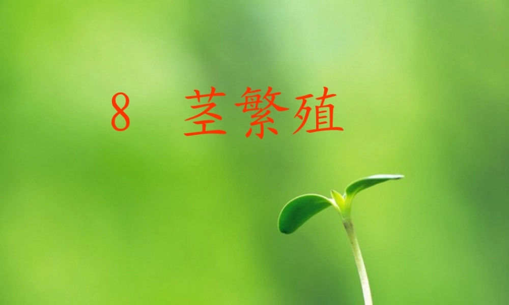 鄂教版小学科学五下《8.茎繁殖》PPT课件[加微信jiaoxue5you九折优惠].ppt