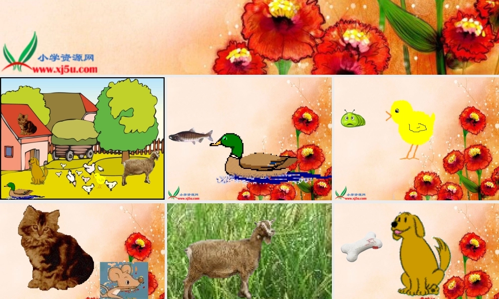 鄂教版小学科学五下《2.动物吃什么》PPT课件[加微信jiaoxue5you九折优惠].ppt