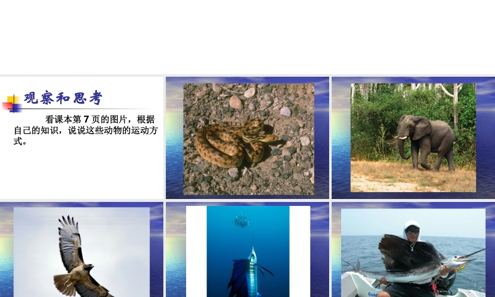 鄂教版小学科学五下《3.动物怎样运动》PPT课件[加微信jiaoxue5you九折优惠].ppt