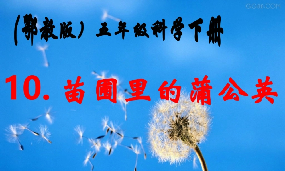 鄂教版小学科学五下《10.苗圃里的蒲公英》PPT课件[加微信jiaoxue5you九折优惠].ppt