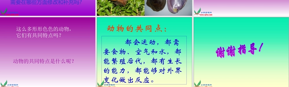 鄂教版小学科学五下《1.形形色色的动物》PPT课件(2).ppt