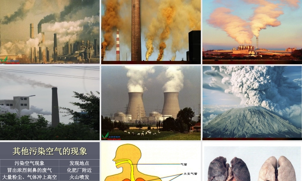 鄂教版小学科学五下《19.我们需要清新的空气》PPT课件[加微信jiaoxue5you九折优惠].ppt