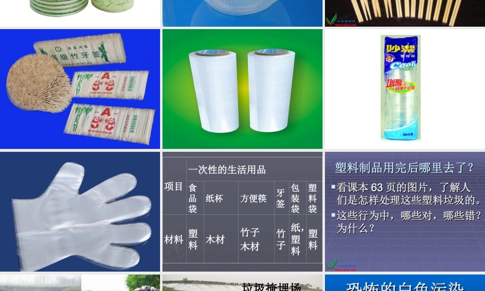 鄂教版小学科学五下《21.一次性的生活用品》PPT课件[加微信jiaoxue5you九折优惠].ppt