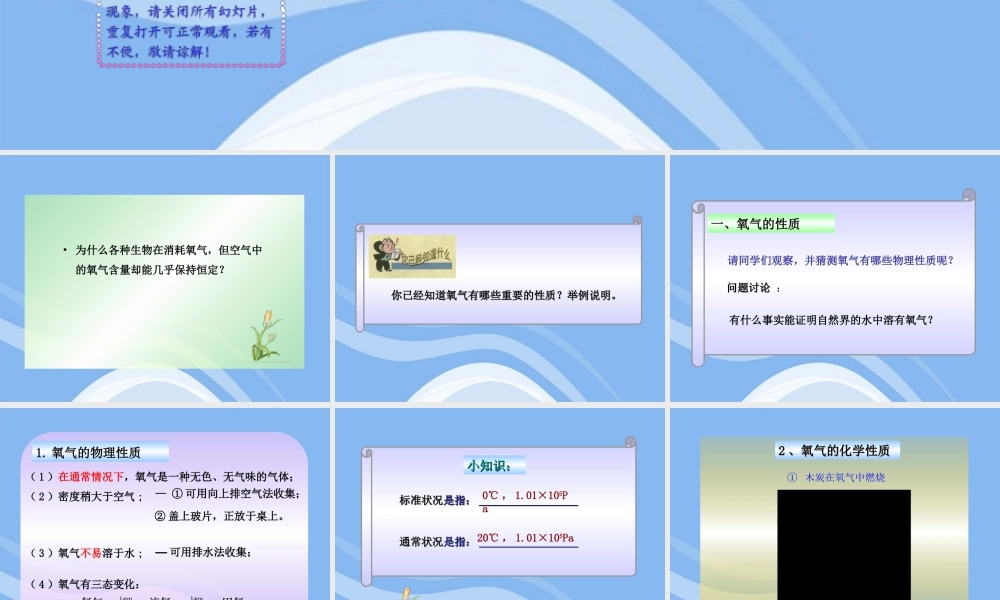 沪教初中化学九上《2第1节 性质活泼的氧气》PPT课件 (4).ppt