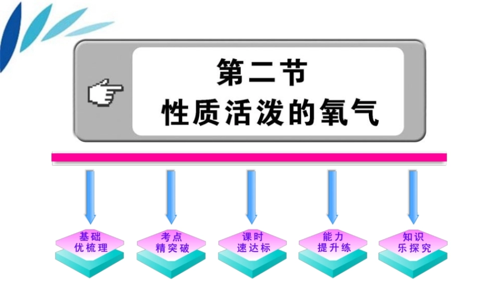 沪教初中化学九上《2第1节 性质活泼的氧气》PPT课件 (2).ppt
