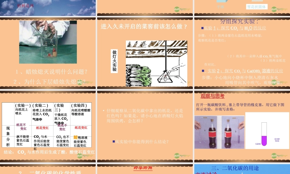 沪教初中化学九上《2第2节 奇妙的二氧化碳》PPT课件 (19).ppt