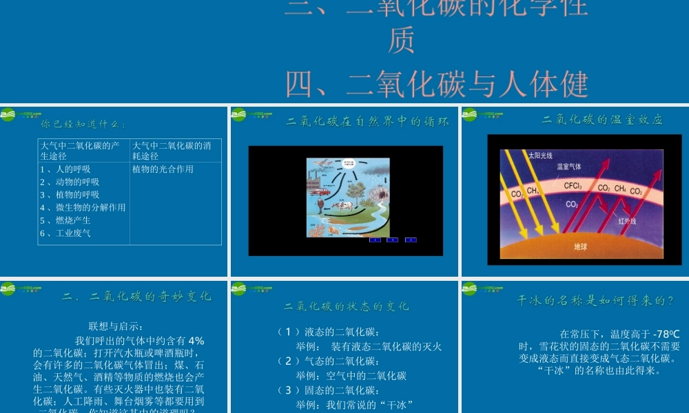 沪教初中化学九上《2第2节 奇妙的二氧化碳》PPT课件 (5).ppt
