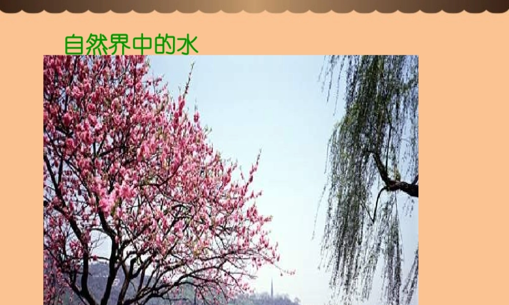 沪教初中化学九上《2第3节 自然界中的水》PPT课件 (30).ppt