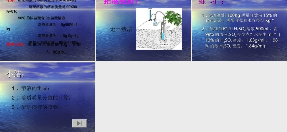 沪教初中化学九下《6第2节 溶液组成的表示》PPT课件 (13).ppt