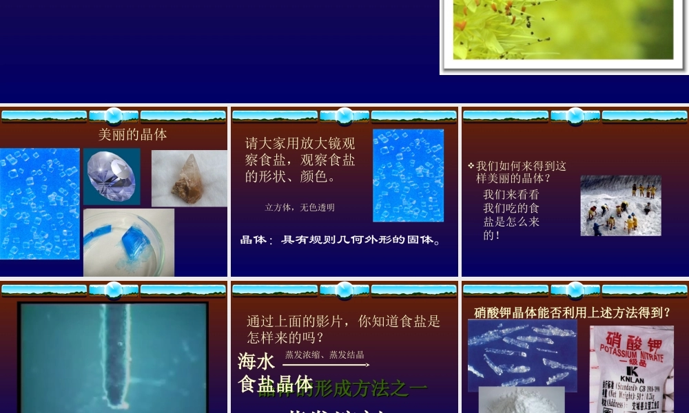 沪教初中化学九下《6第3节 物质的溶解性》PPT课件 (2).ppt