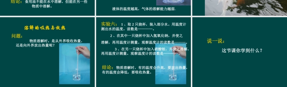 沪教初中化学九下《6第3节 物质的溶解性》PPT课件 (19).ppt