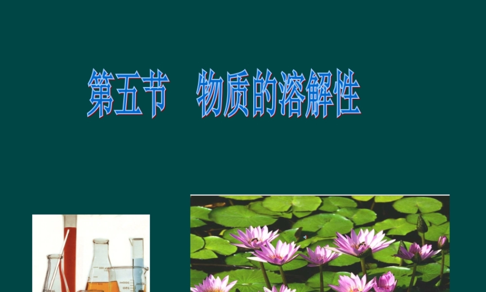沪教初中化学九下《6第3节 物质的溶解性》PPT课件 (15).ppt