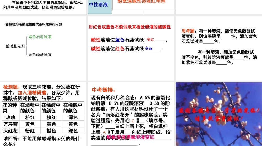 沪教初中化学九下《7第1节 溶液的酸碱性》PPT课件 (3).ppt