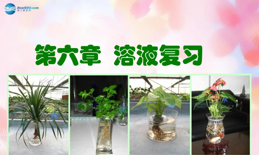 沪教初中化学九下《6第6章 溶解现象》PPT课件 (5).ppt